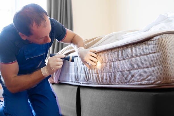 Best Bed Bug Extermination  in Reno, OH